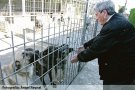 El projecte de la protectora d’animals a Pedret i Marzà s’ajorna més enllà del 2021