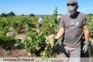 Les ajudes d’Empresa per als cellers amb DO, en marxa