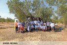 Tret de sortida de la campanya ‘Tasta l’Oli de l’Empordà’ amb quatre trulls locals