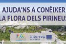 Detectar plantes invasores entre el cap de Creus i la Garrotxa