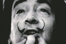 Guardó pel documental sobre els anys joves de Dalí