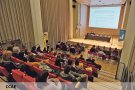 El 84% de la població ha patit agressions masclistes o LGTBI