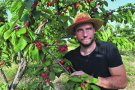 Jordi Juan: «La cirera que es vendrà a la Fira de Llers serà collida del dia abans»