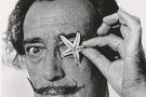 Un llibre analitza la relació de Dalí i ‘La Nature’