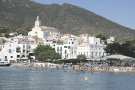 Cadaqués capturarà senglars amb caixes trampa i teleanestèsia