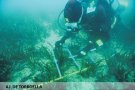 Estudien l’estat de la posidònia de cala Montgó