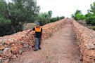 El primer tram de l’històric Camí Ceboller de Llers, al descobert