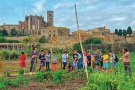 Els horts comunitaris de Castelló obren portes