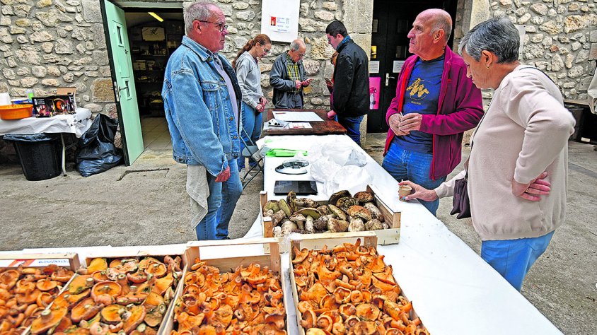 La Fira del Bolet d’Albanyà celebra la dotzena edició
