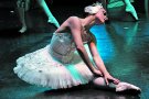 El llac dels cignes amb l’International Ballet Company