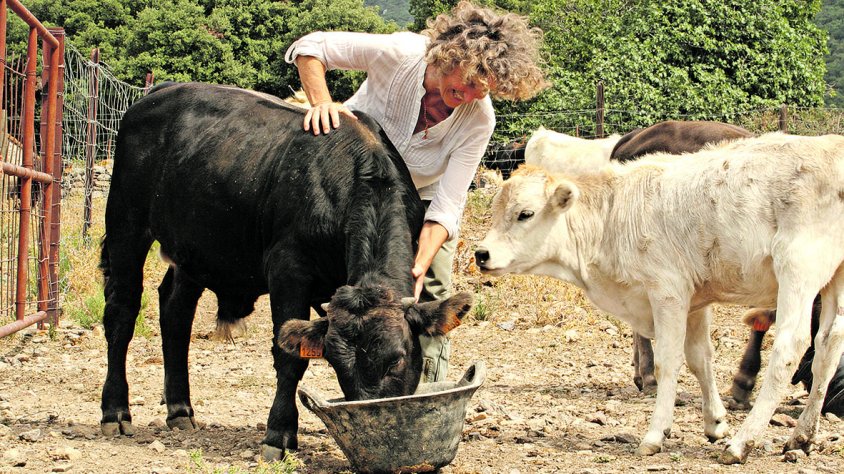 Que plogui a Baussitges