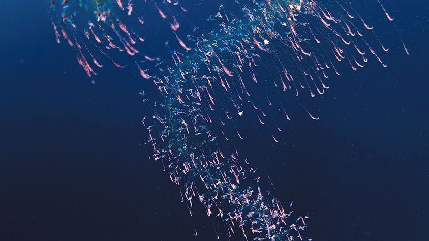 La fotografia ‘3’, de Marc Casanovas, guanya el MedFoto 2025