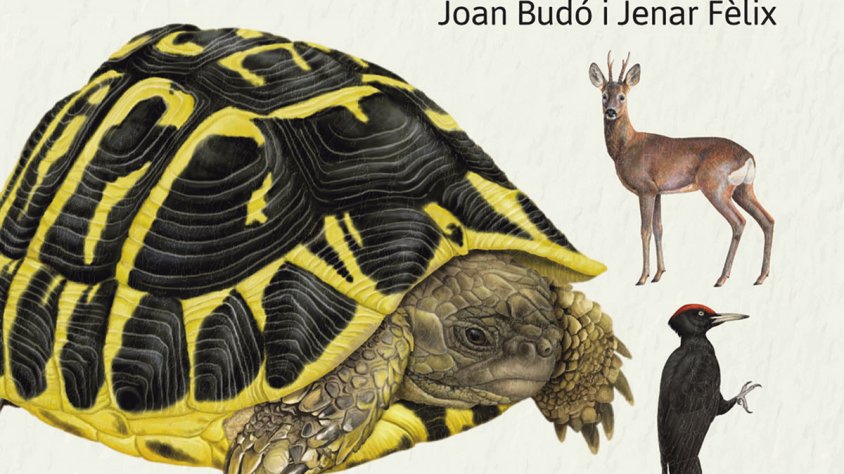 «Posar nom al que observes és el primer pas per valorar-ho i estimar-ho»