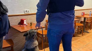 Un moment de l'operatiu