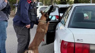 Un moment de l'operatiu