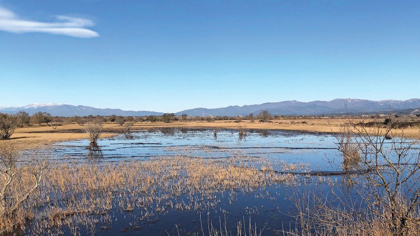 Expropiació per estat d’emergència