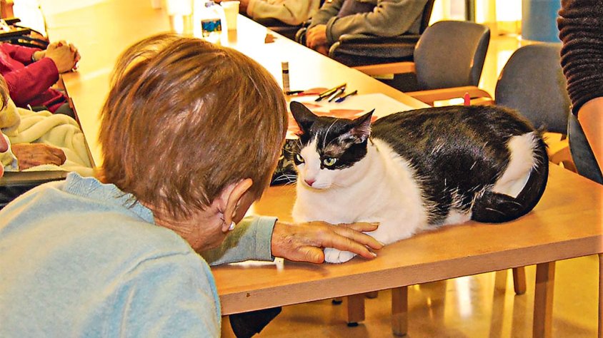 El Bernat Jaume introdueix la teràpia assistida amb animals