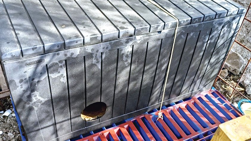 Denuncien que han intentat enverinar 25 gats amb benzina