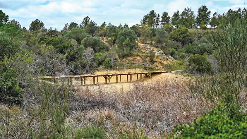 Inauguren oficialment la restauració de l’espai natural de les basses del Terrisser