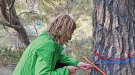 El canvi climàtic i les altes temperatures  posen els boscos ‘contra les cordes’