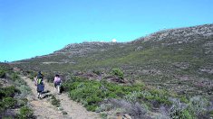 Una volta per la cultura ‘indiketa’