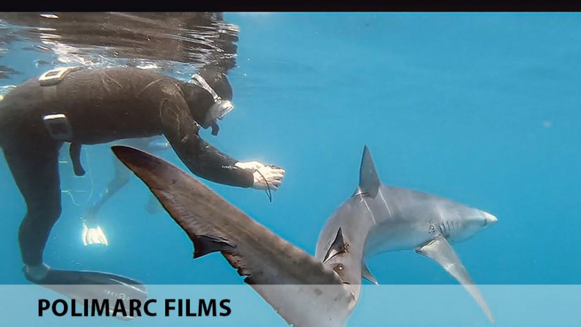 Estrenen el documental ‘Un silenci blau’