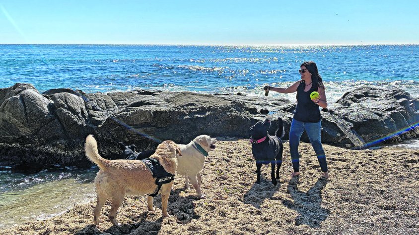 L'Alt Empordà és la comarca amb més platges per a gossos de tot Catalunya