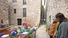 La Fira de la Flor fa esclatar la primavera a Vilanant