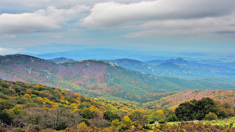 Moció pel Parc Natural de l’Albera