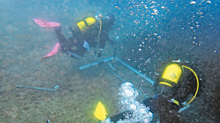Prohibeixen el fondeig lliure a la cala Sa Sabolla per conservar-hi la posidònia