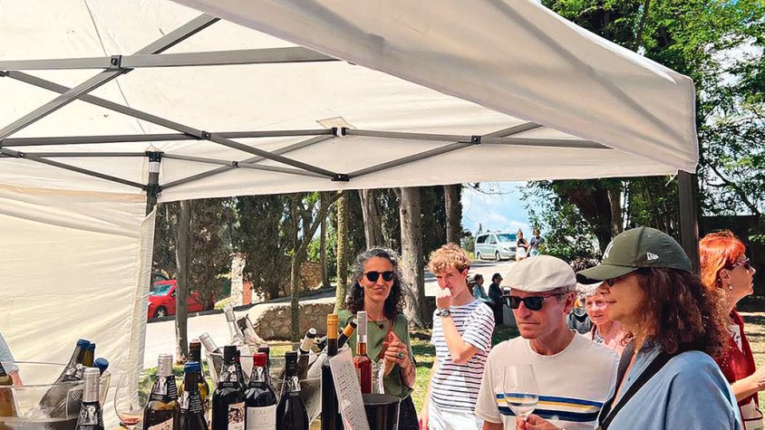 Quinze anys d’excel·lència vitivinícola