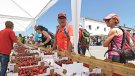 28a Fira de la Cirera i Tradicions de Llers