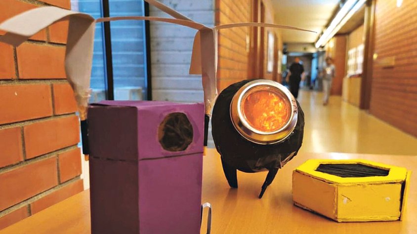 Reconeixement STEAM a l’Amistat