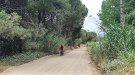 Inverteixen 37.000 euros  a millorar camins rurals a l'Escala