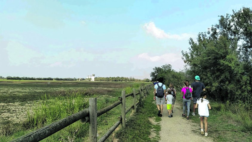 Caminades que fan un lustre