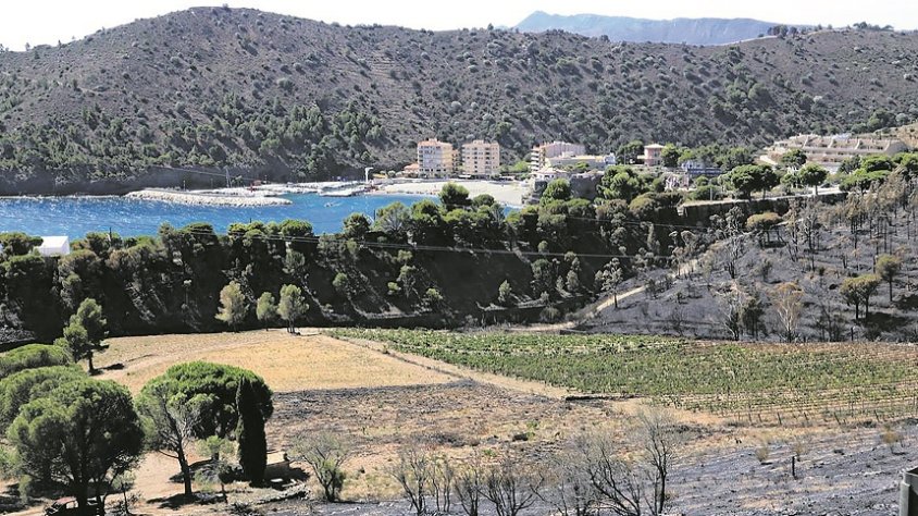‘Pack solidari’ del celler Hugas de Batlle contra el foc i la sequera