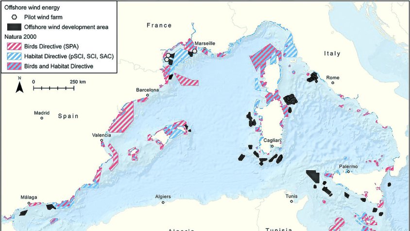 Un nou estudi alerta que l’eòlica marina de Roses se solapa amb la Xarxa Natura 2000