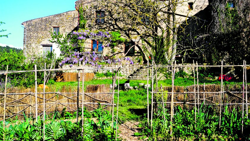 Permacultura, producció agrícola sostenible