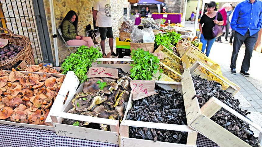 Albanyà es converteix en l’epicentre del món boletaire amb la XII edició de la fira