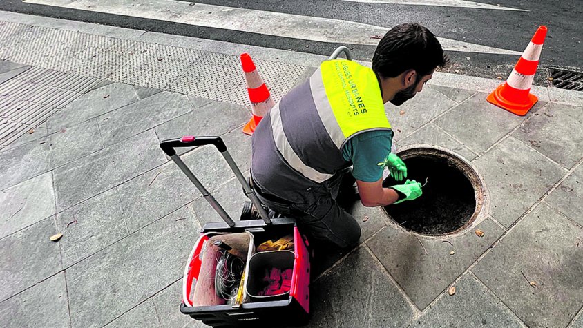 Figueres intensifica els dispositius de control de rates