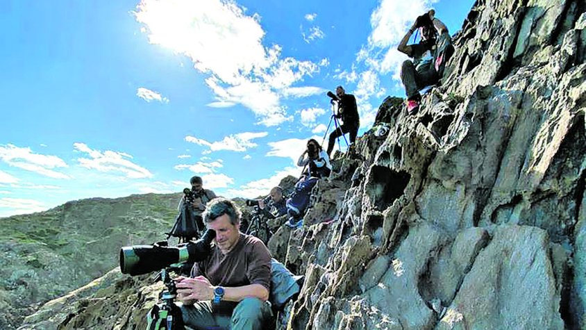 Seguint aus marines des del cap de Creus
