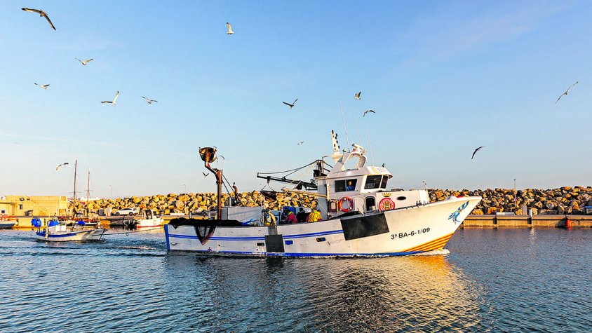 Veda de dos mesos per a la pesca d’encerclament