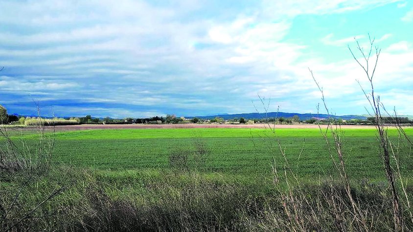Llum verda al projecte per construir una estació potabilitzadora a l’Escala
