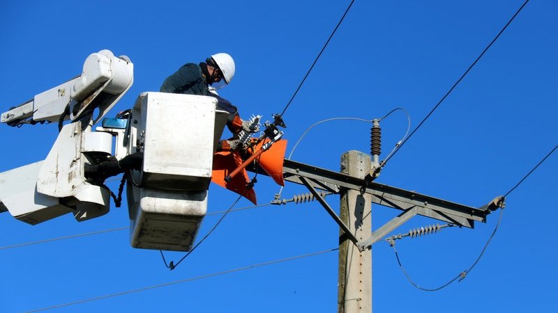 Adapten línies elèctriques  per protegir l’avifauna