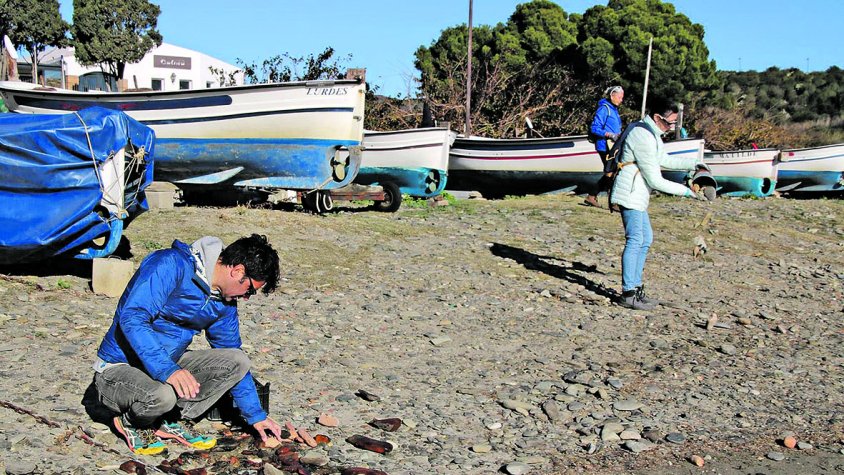 Mantenir el llegat del ‘Douaumont’