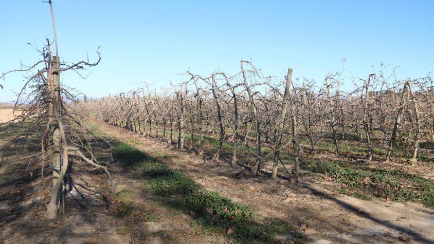 La pagesia gironina es mostra  pessimista pel futur decret d’emergència 