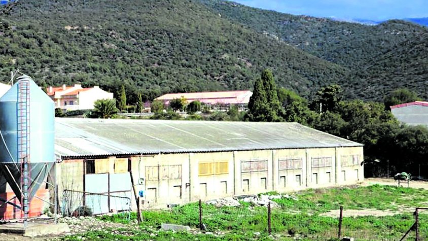 L’Ajuntament obre expedient sancionador a una granja