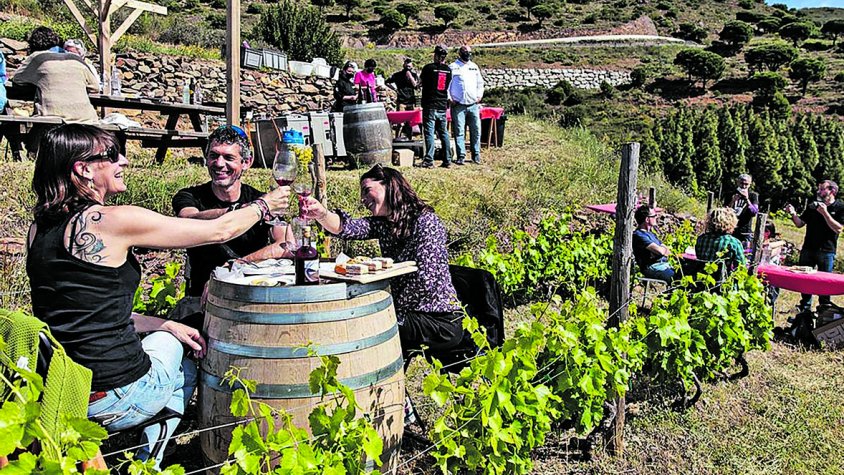 Un 78% dels cellers són visitables