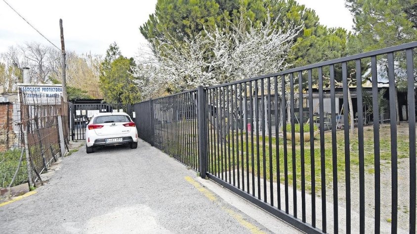 L’Ajuntament de la Jonquera també assumirà la recollida d’animals perduts