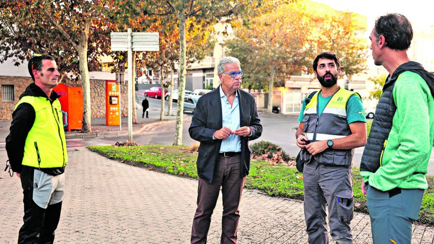 Les colònies d’estornells s’han allunyat del centre de la vila